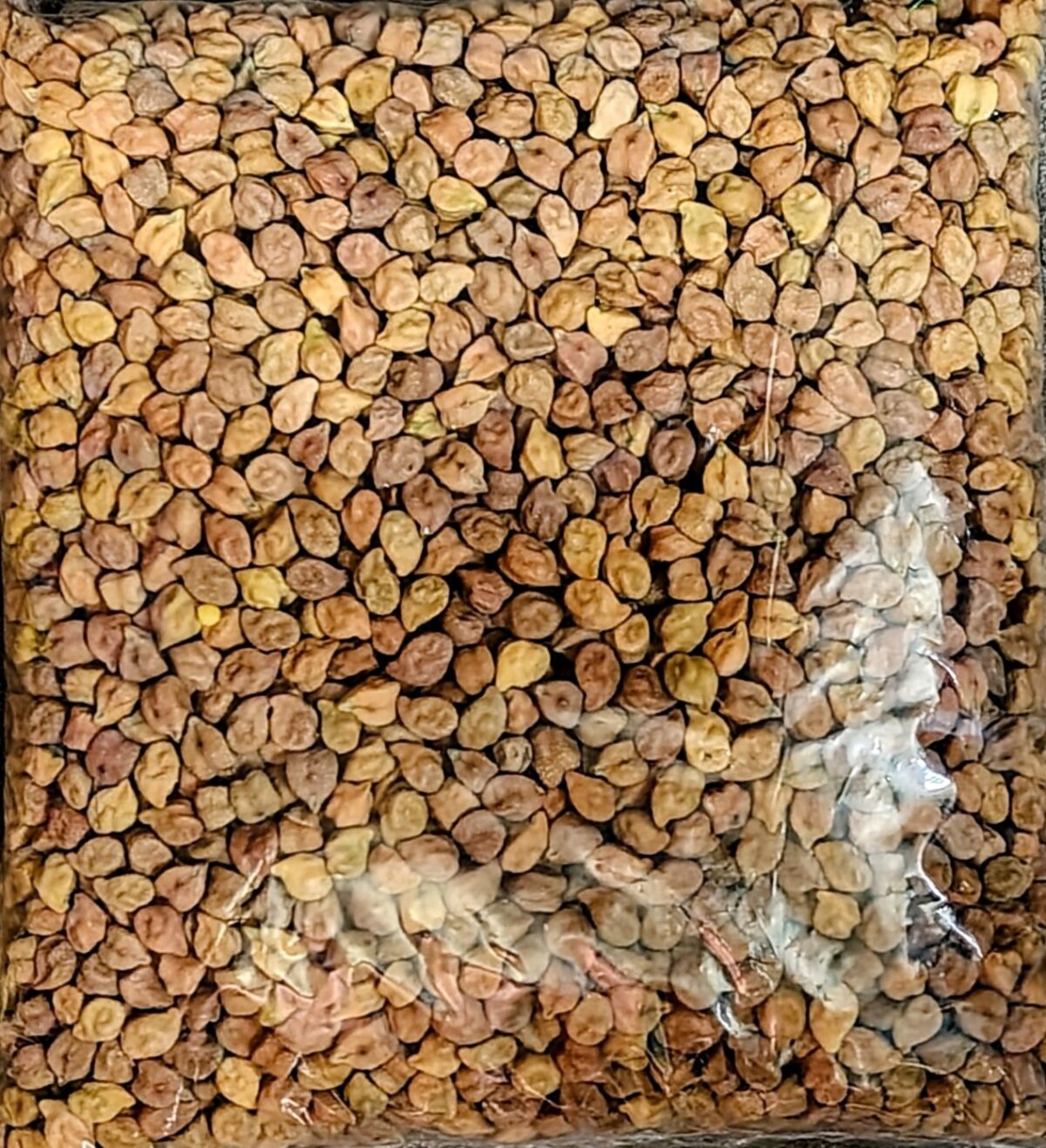 Chola  500g - Image 1