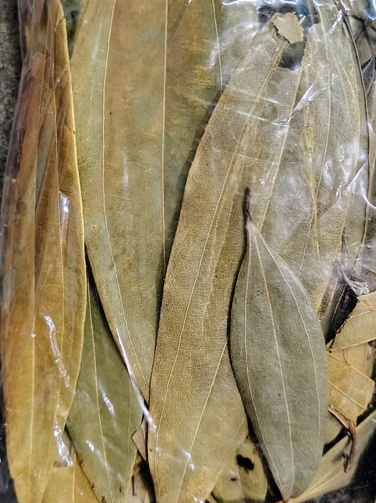 Bay Leaf/ Tej Pata. Rs 5 - Image 1