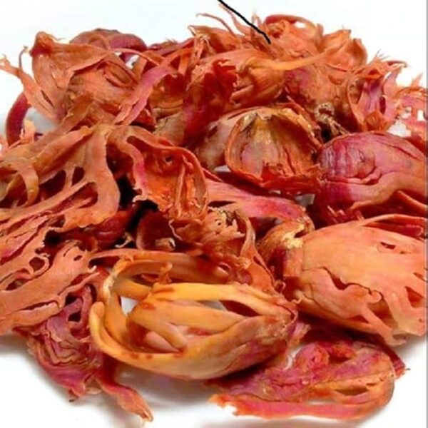 Vinarghya - Jaypatri/Jawattri/Jayatri  25 g